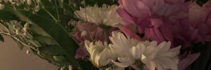 pppispp's profile banner image