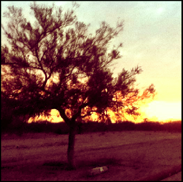 AbregoAlaN's profile banner image