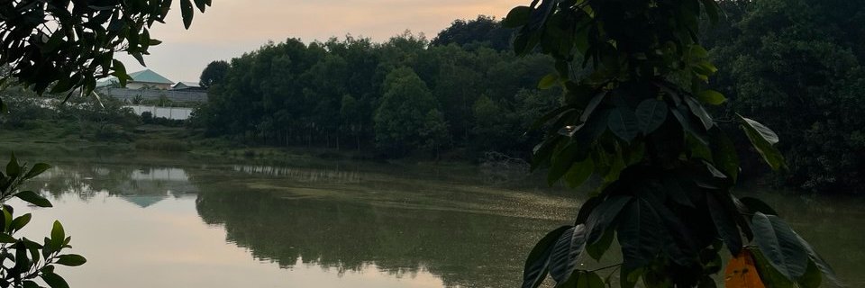 banhmioi's profile banner image