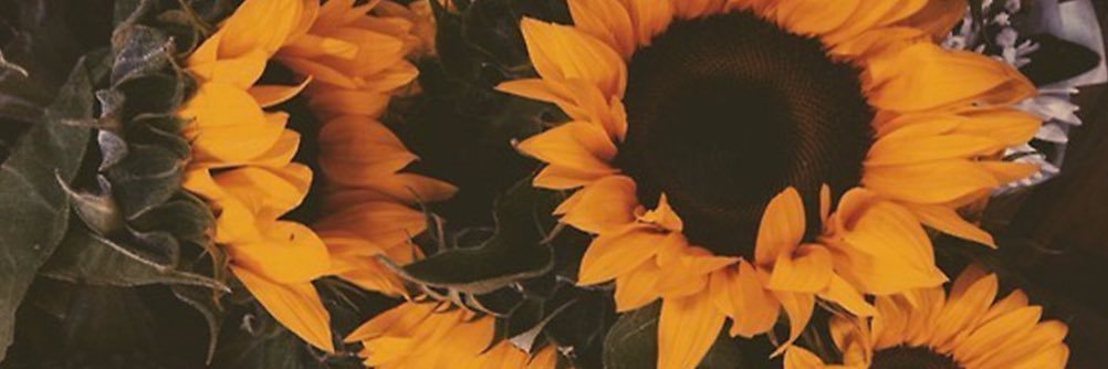 Meredith Mishler banner