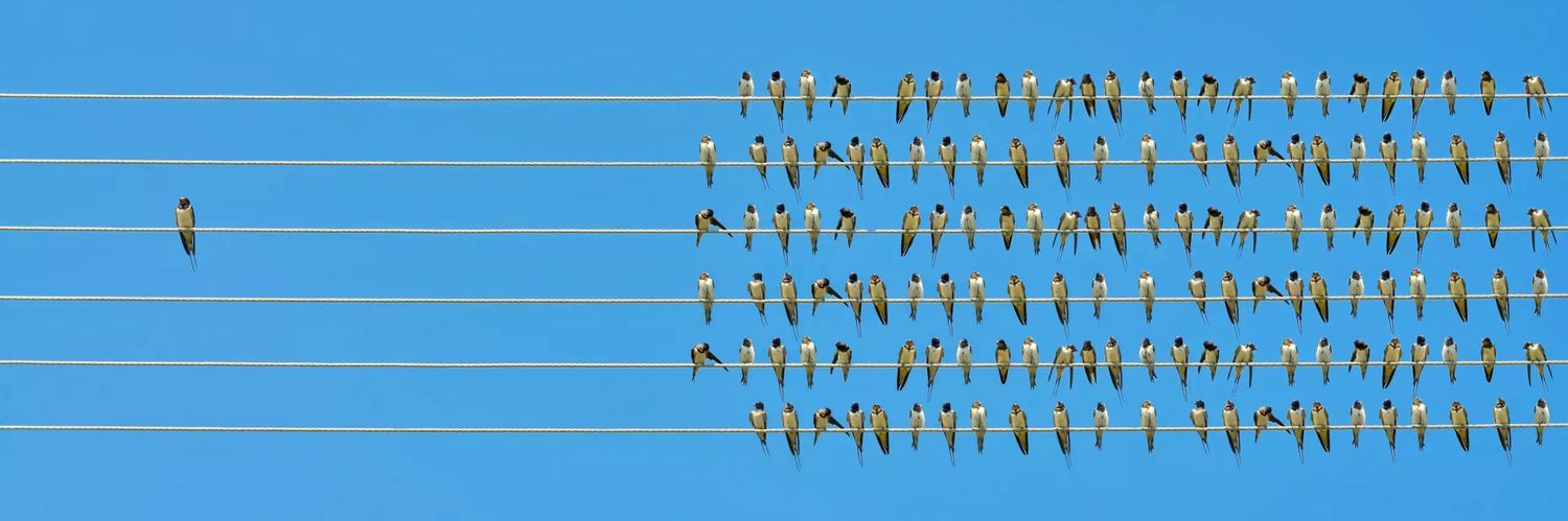 B 🇪🇹 🔑 🐬 🦇 🔊 banner