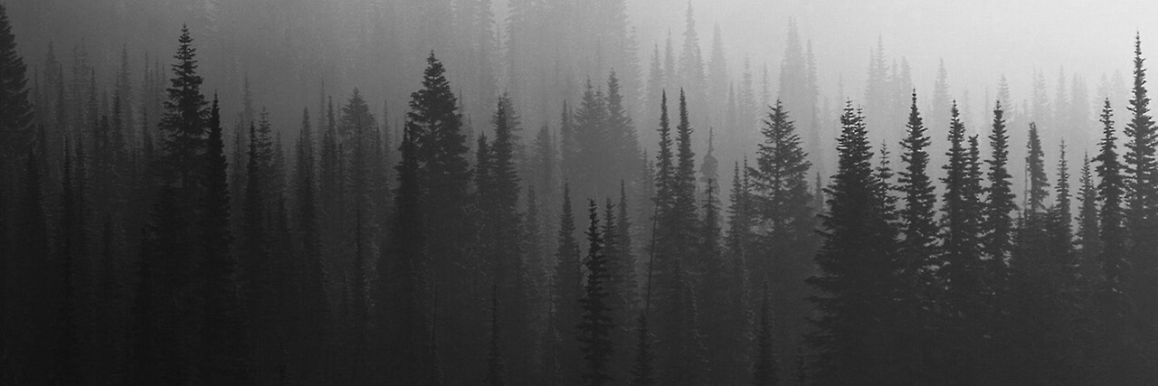kguimar_'s profile banner image