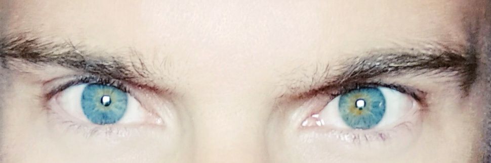 Francisco J. Martín banner