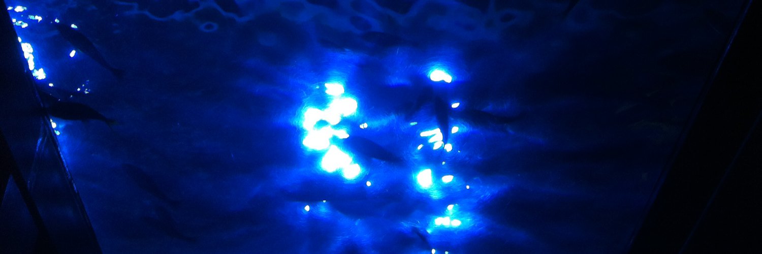 askk02091's profile banner image