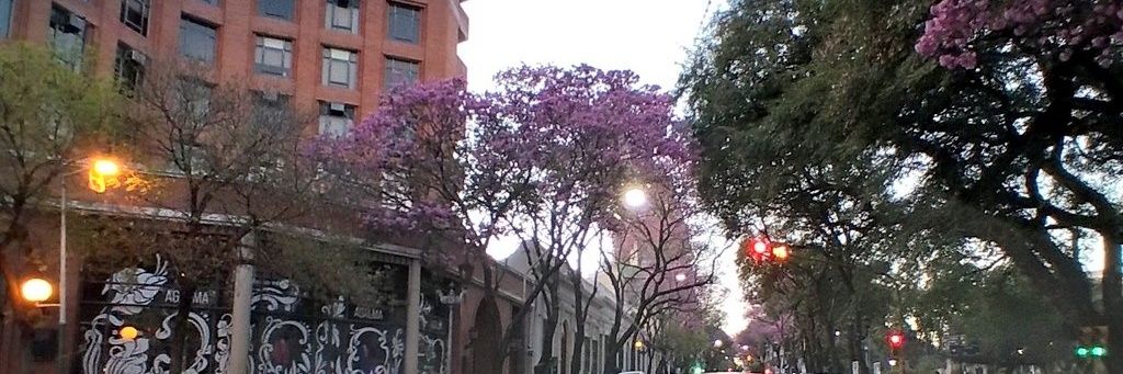 alepesoa's profile banner image
