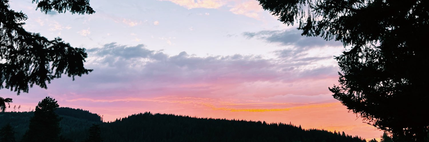 llulurodriguez's profile banner image