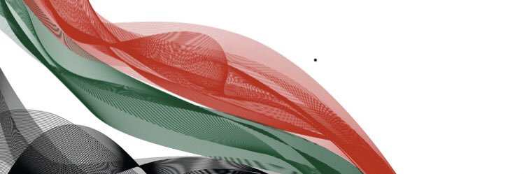 emaratiyya's profile banner image