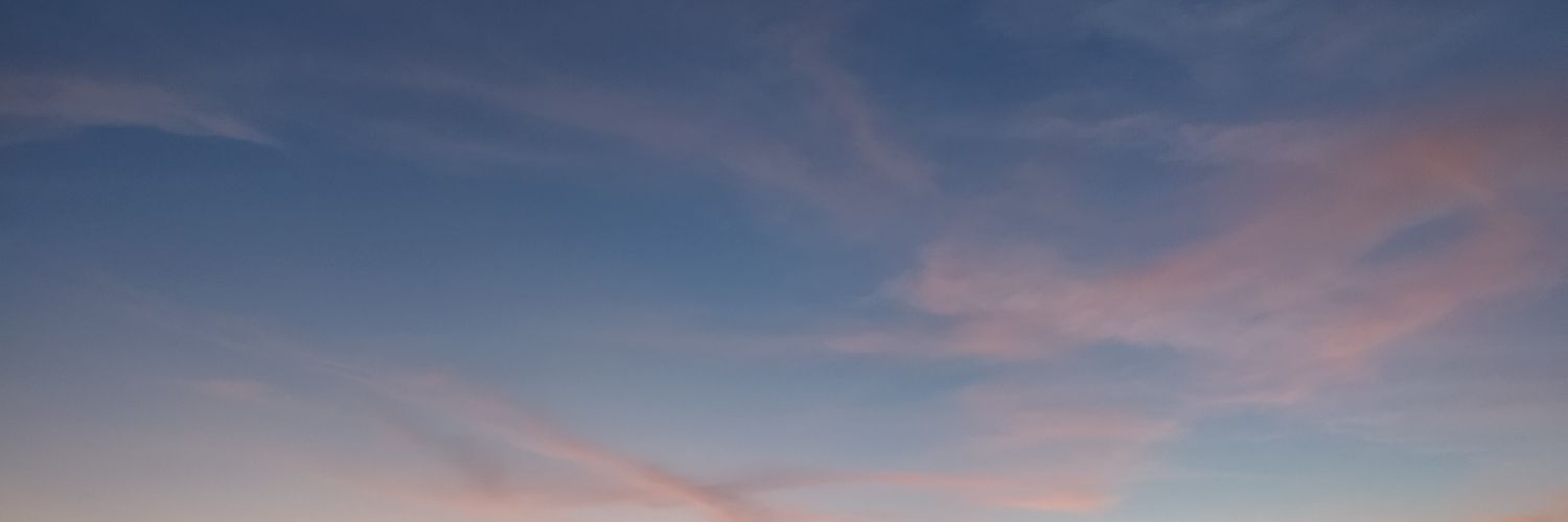 raquelmorais's profile banner image