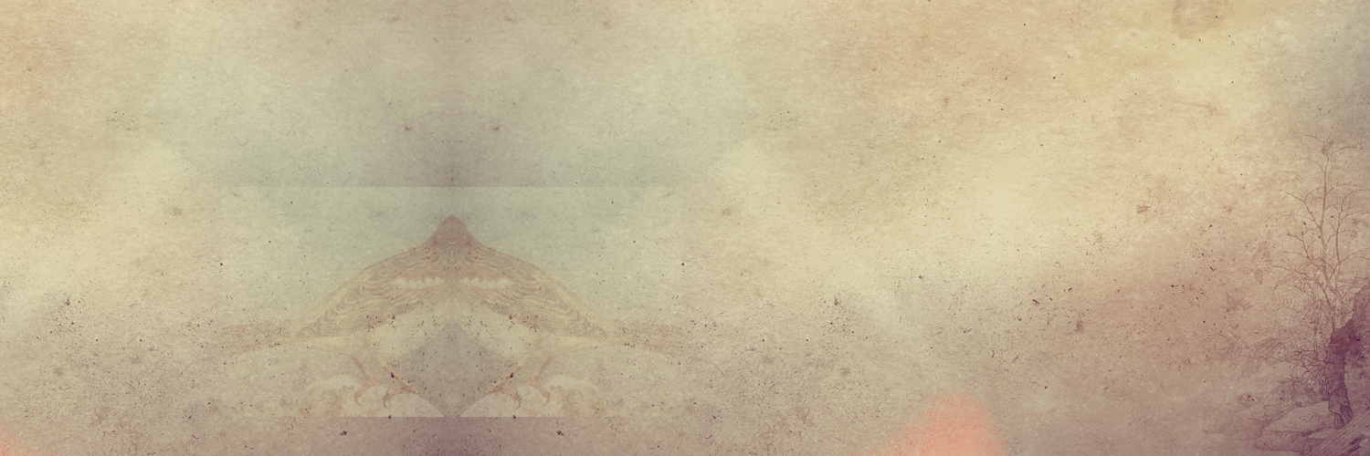 Elisse banner