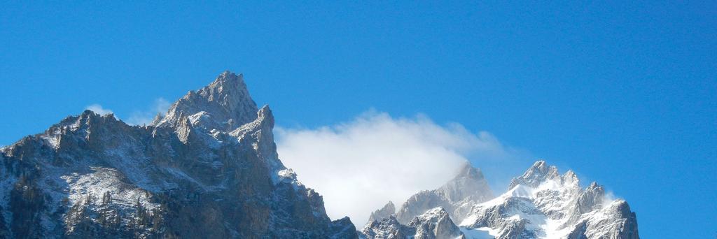 Timothy Olsen, PhD banner