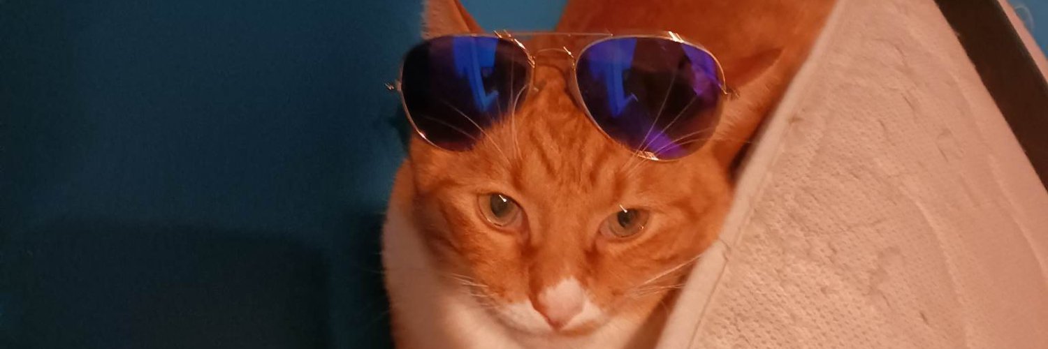 glitzygrrl's profile banner image