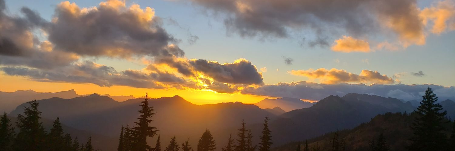 Jencling's profile banner image