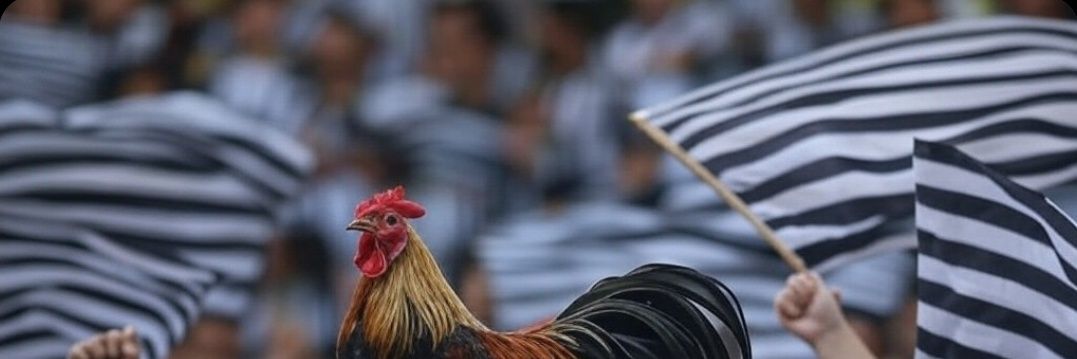 Renato Mafra banner