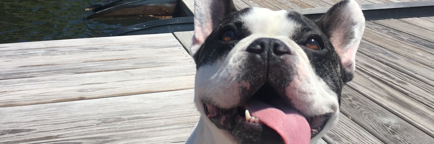 molly3425's profile banner image