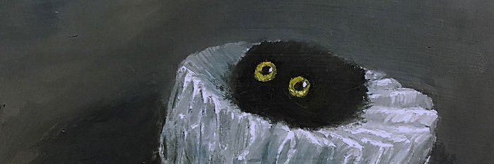 VioletDoolittle's profile banner image