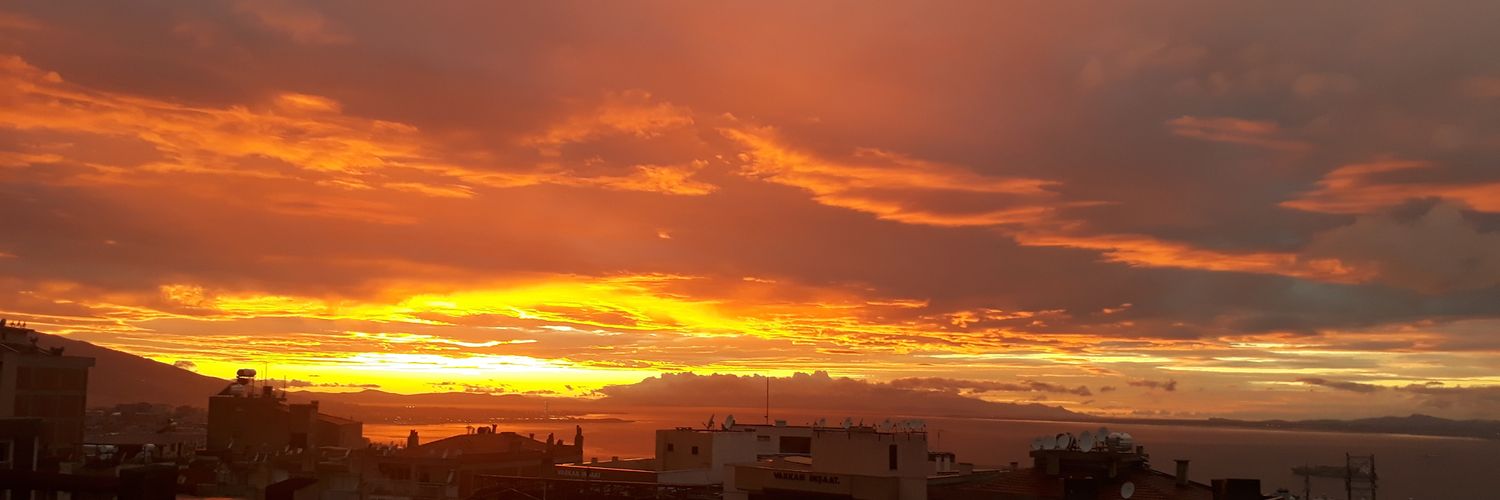 commandertesla's profile banner image