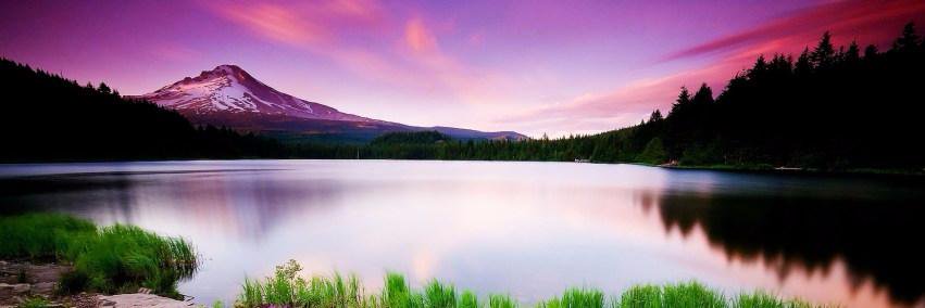 SheetalShinde81's profile banner image