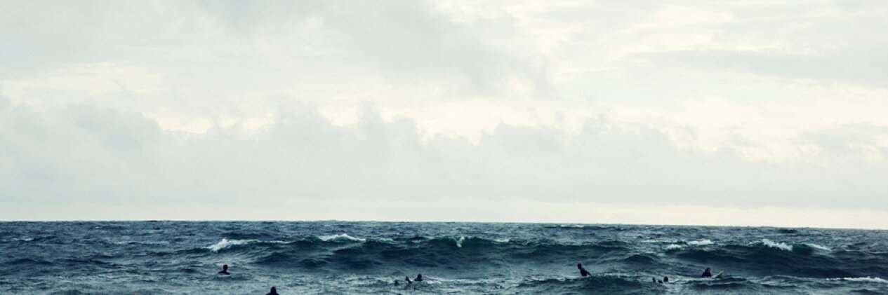 schmidtdav's profile banner image