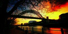 AlanMagpie99's profile banner image
