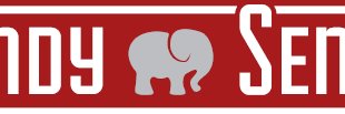 Senn for Senate banner