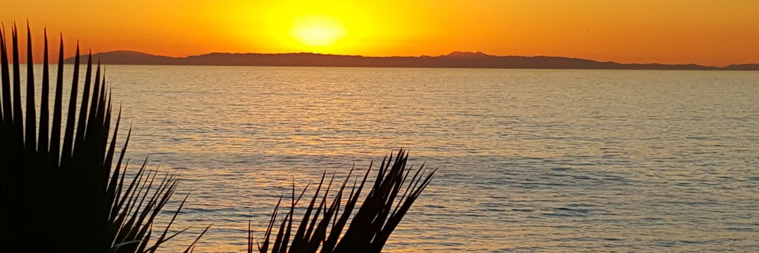 TheBrusca's profile banner image