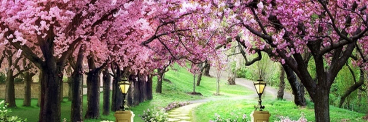 debbiea001's profile banner image