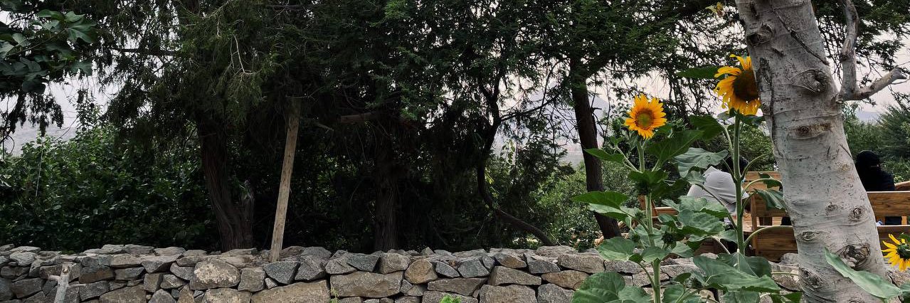 LilyAlaa's profile banner image