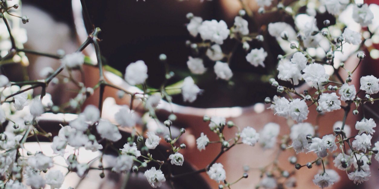 Shoq888's profile banner image