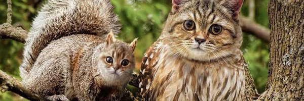 bottscevins Profile Banner