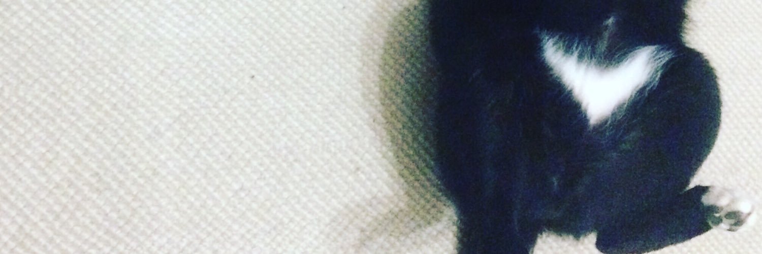 Cherenester's profile banner image