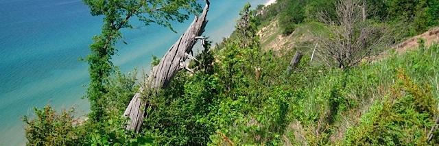 Diana Strassmann banner