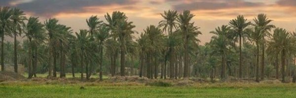 drbasimah's profile banner image