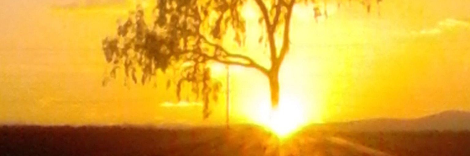 mainadeey's profile banner image