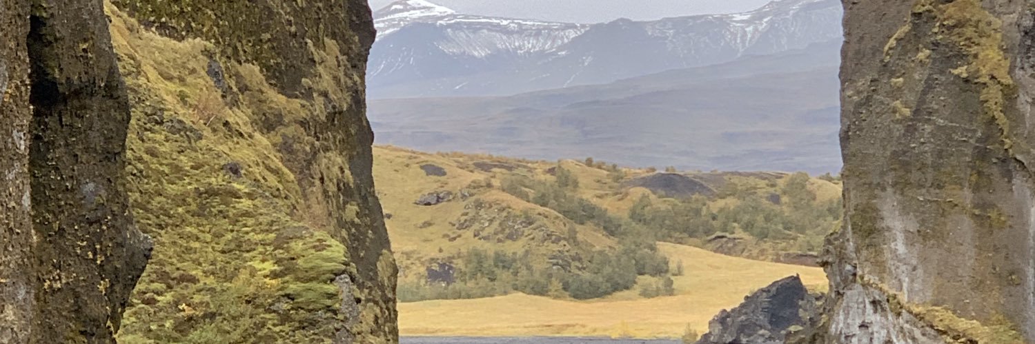 Graham Thomas banner