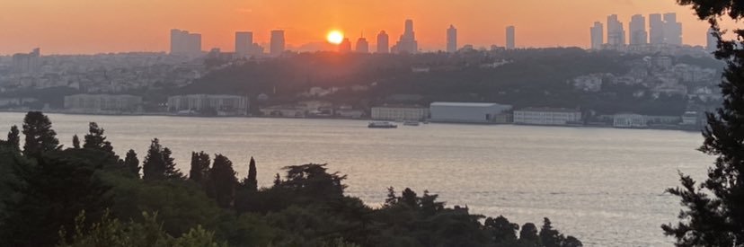 aaligedik's profile banner image