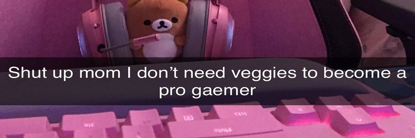 strawbnnymonstr's profile banner image