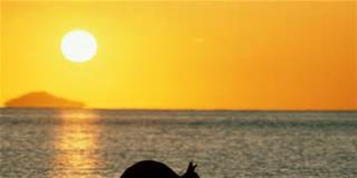 Haley_Mcp's profile banner image