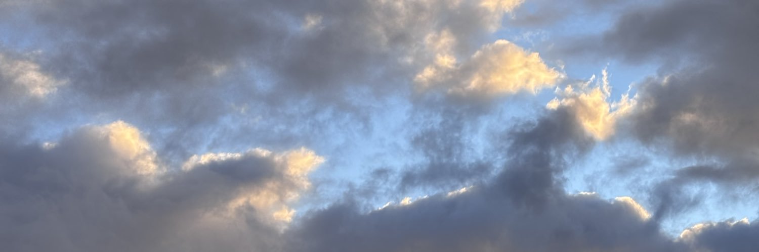 palomimerak's profile banner image