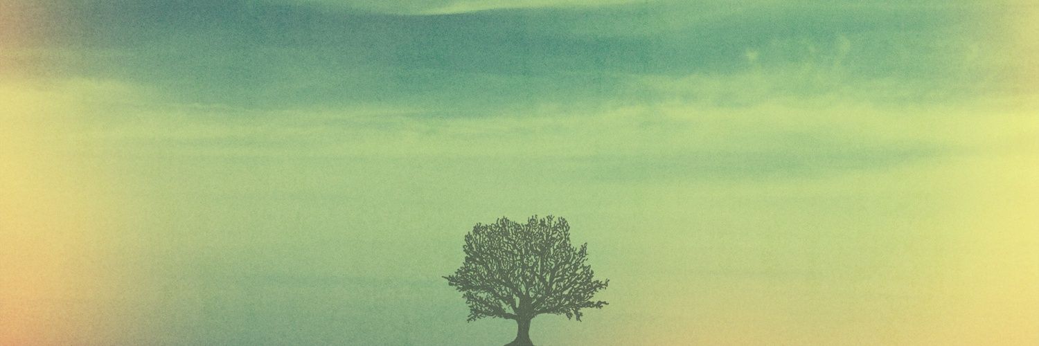 Stabwoundd's profile banner image