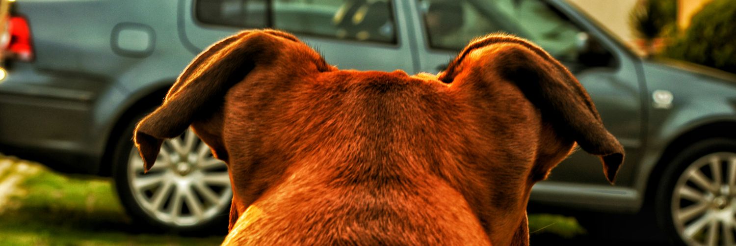 PabloJeshoa's profile banner image
