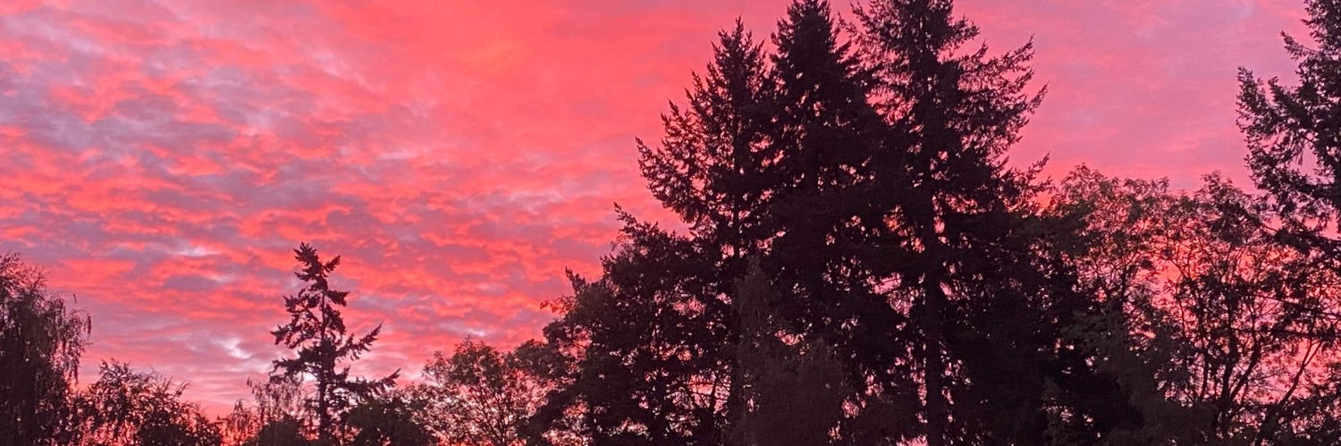JuliaGorman2's profile banner image