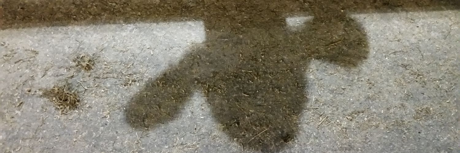 FrietjeTwit's profile banner image