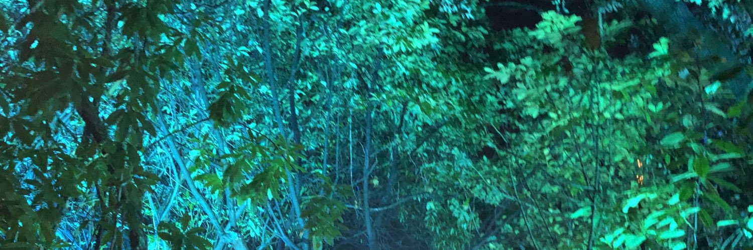 kojie08's profile banner image