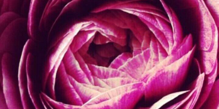 Ayesha Takia Azmi♡ banner