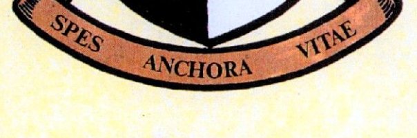 Doran Lacoursiere banner