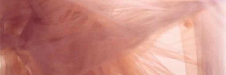 Eva banner