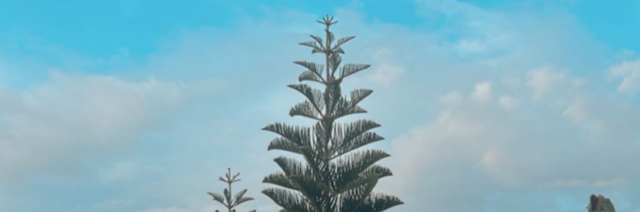 manuelRD02's profile banner image