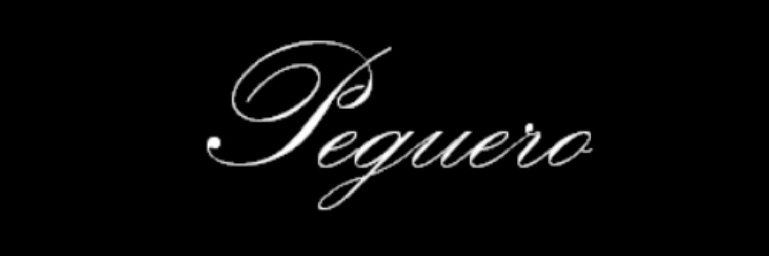 David_Peguero's profile banner image