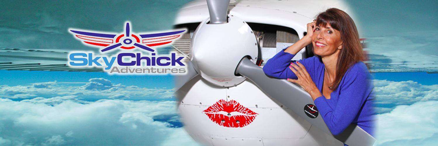 TheSkychick's profile banner image