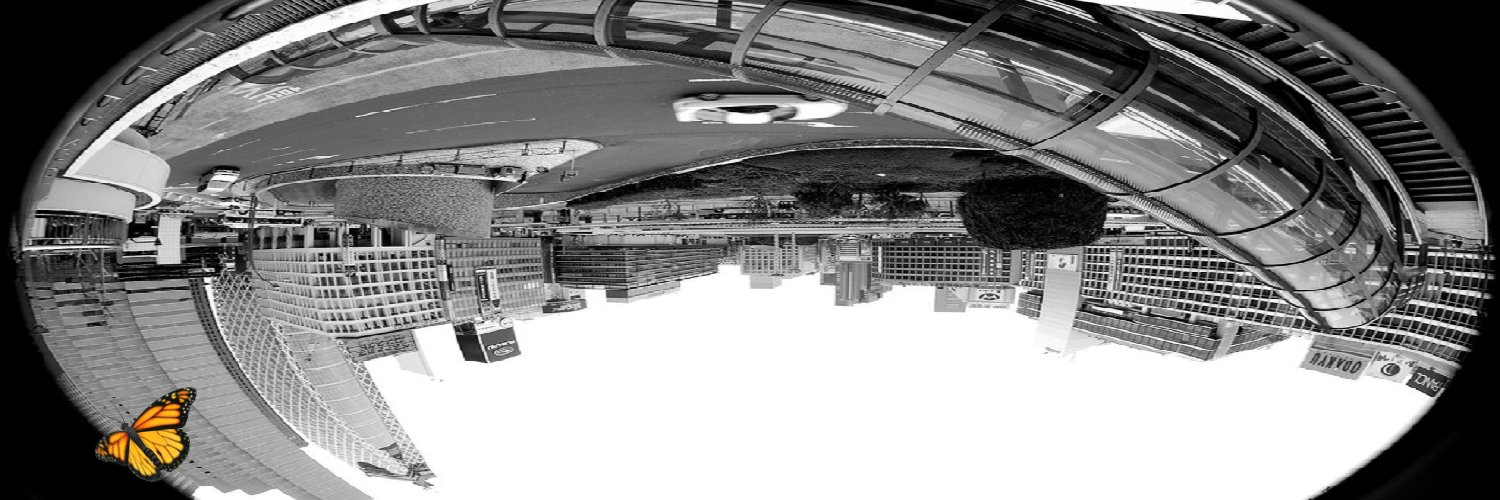 mrym7016's profile banner image